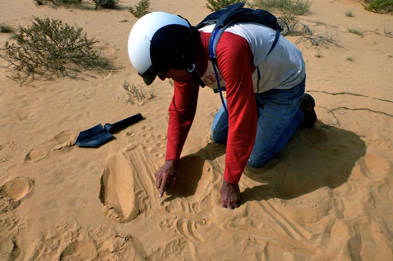 Mauritania